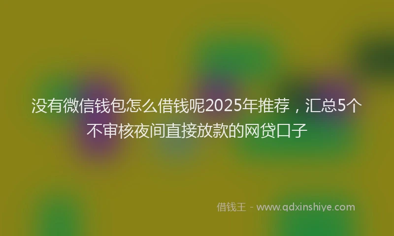没有微信钱包怎么借钱呢2025年推荐，汇总5个不审核夜间直接放款的网贷口子