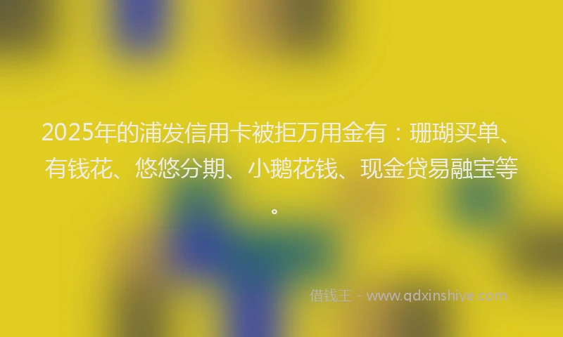 2025年的浦发信用卡被拒万用金有：珊瑚买单、有钱花、悠悠分期、小鹅花钱、现金贷易融宝等。