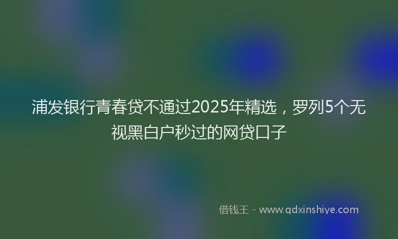 浦发银行青春贷不通过2025年精选，罗列5个无视黑白户秒过的网贷口子