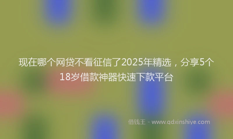 现在哪个网贷不看征信了2025年精选，分享5个18岁借款神器快速下款平台