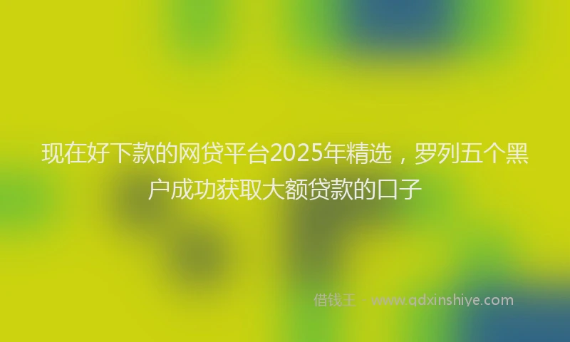 现在好下款的网贷平台2025年精选，罗列五个黑户成功获取大额贷款的口子