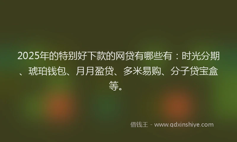 2025年的特别好下款的网贷有哪些有：时光分期、琥珀钱包、月月盈贷、多米易购、分子贷宝盒等。