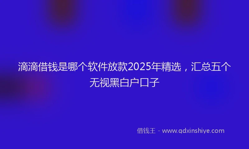 滴滴借钱是哪个软件放款2025年精选，汇总五个无视黑白户口子