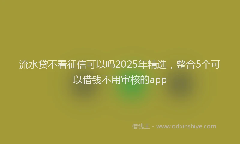 流水贷不看征信可以吗2025年精选，整合5个可以借钱不用审核的app