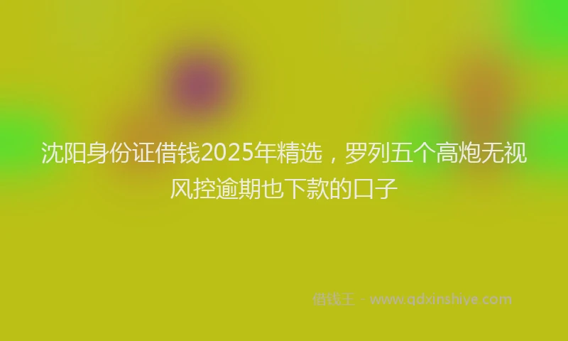 沈阳身份证借钱2025年精选，罗列五个高炮无视风控逾期也下款的口子