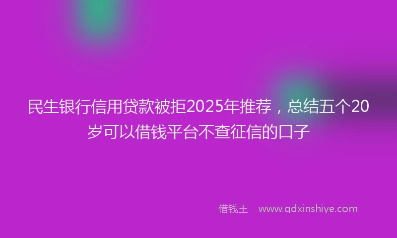 民生银行信用贷款被拒2025年推荐，总结五个20岁可以借钱平台不查征信的口子