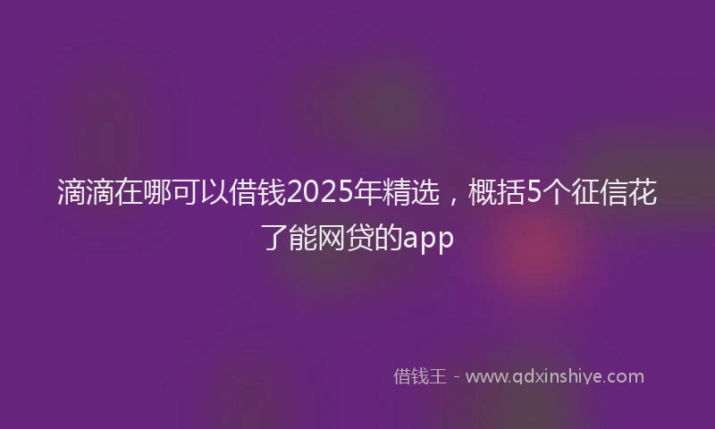 滴滴在哪可以借钱2025年精选，概括5个征信花了能网贷的app