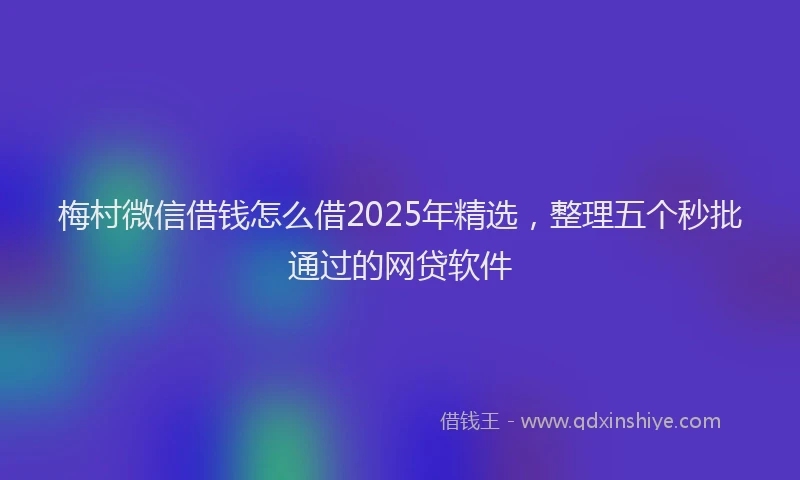 梅村微信借钱怎么借2025年精选，整理五个秒批通过的网贷软件