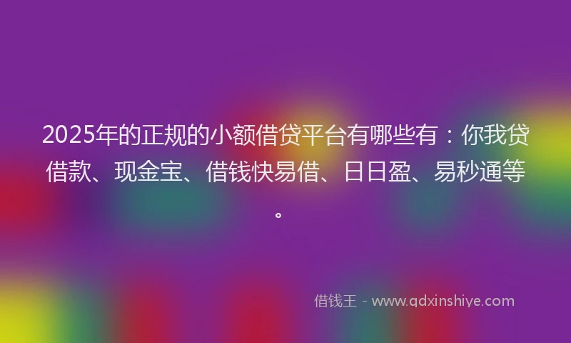 2025年的正规的小额借贷平台有哪些有：你我贷借款、现金宝、借钱快易借、日日盈、易秒通等。