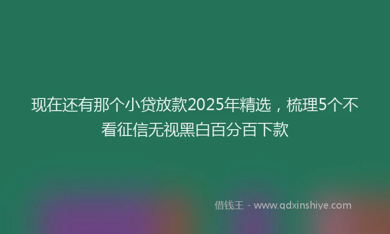 现在还有那个小贷放款2025年精选，梳理5个不看征信无视黑白百分百下款