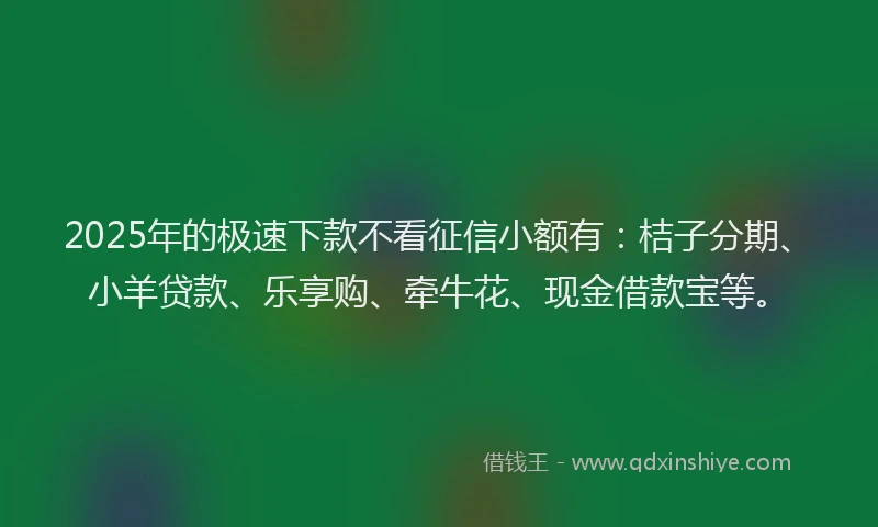 2025年的极速下款不看征信小额有：桔子分期、小羊贷款、乐享购、牵牛花、现金借款宝等。