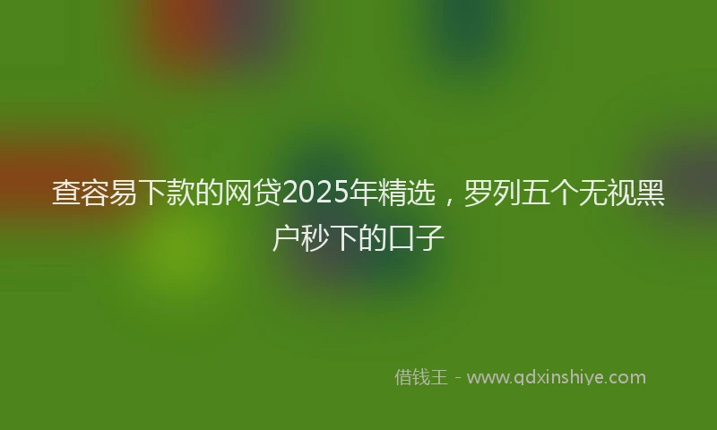 查容易下款的网贷2025年精选，罗列五个无视黑户秒下的口子