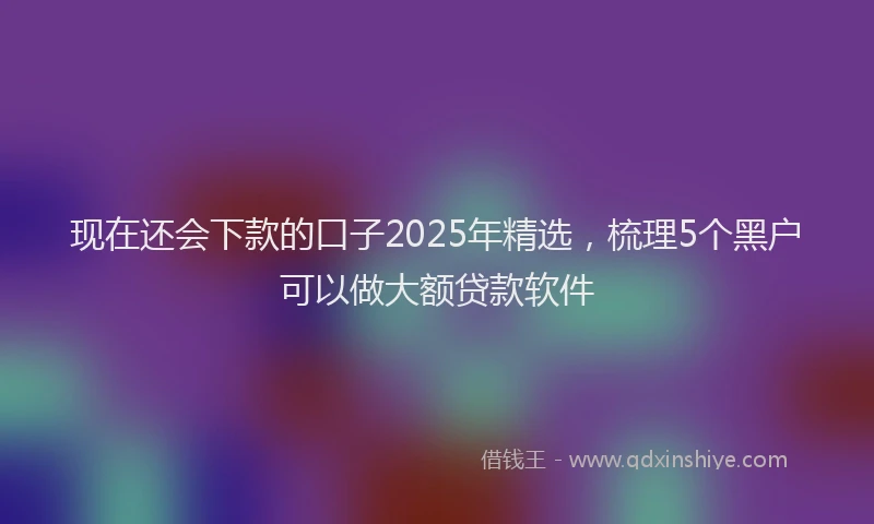 现在还会下款的口子2025年精选，梳理5个黑户可以做大额贷款软件