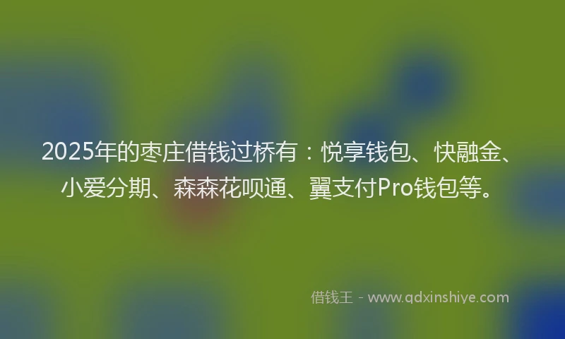 2025年的枣庄借钱过桥有：悦享钱包、快融金、小爱分期、森森花呗通、翼支付Pro钱包等。
