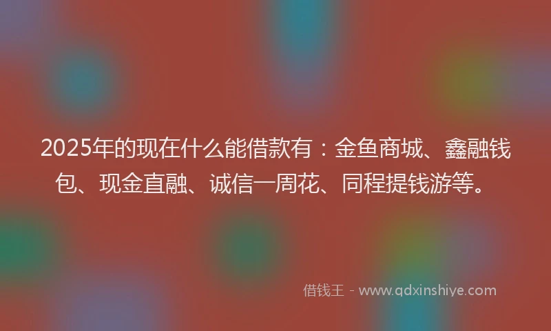 2025年的现在什么能借款有：金鱼商城、鑫融钱包、现金直融、诚信一周花、同程提钱游等。