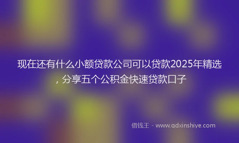 现在还有什么小额贷款公司可以贷款2025年精选，分享五个公积金快速贷款口子