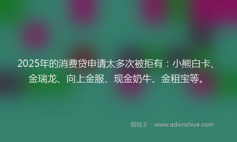 2025年的消费贷申请太多次被拒有：小熊白卡、金瑞龙、向上金服、现金奶牛、金租宝等。