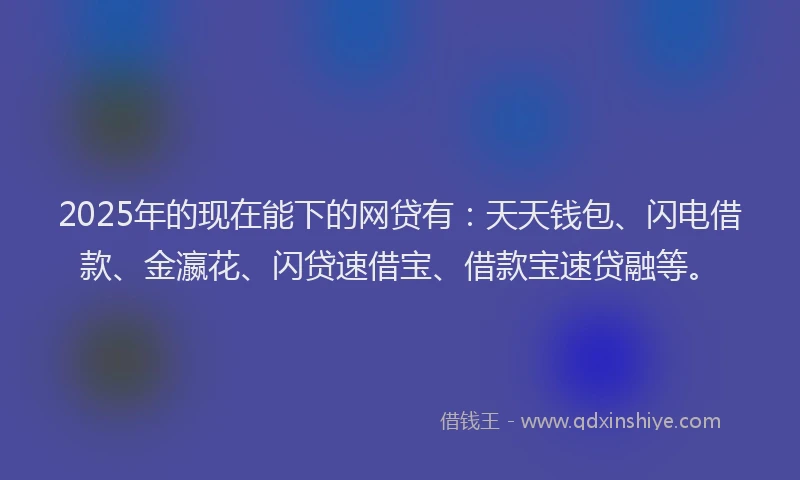 2025年的现在能下的网贷有：天天钱包、闪电借款、金瀛花、闪贷速借宝、借款宝速贷融等。