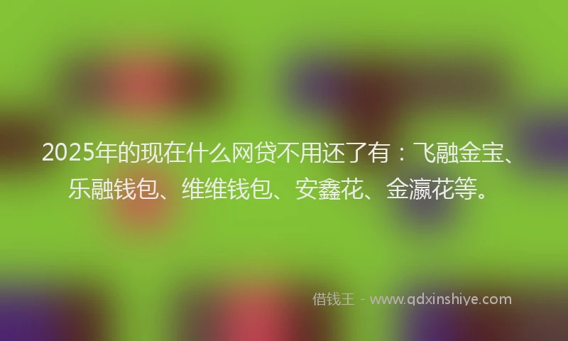 2025年的现在什么网贷不用还了有：飞融金宝、乐融钱包、维维钱包、安鑫花、金瀛花等。