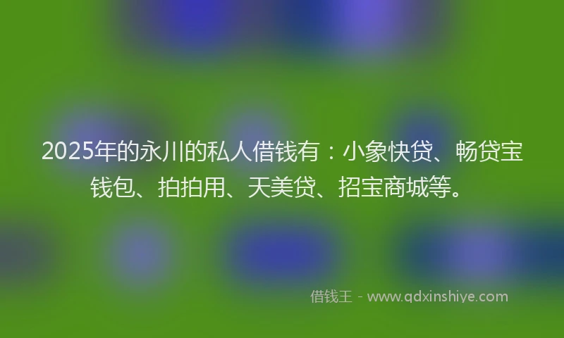 2025年的永川的私人借钱有：小象快贷、畅贷宝钱包、拍拍用、天美贷、招宝商城等。