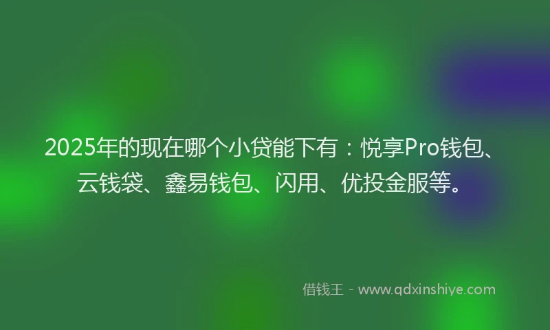 2025年的现在哪个小贷能下有：悦享Pro钱包、云钱袋、鑫易钱包、闪用、优投金服等。