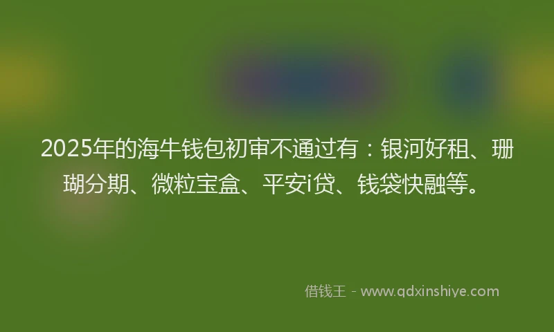 2025年的海牛钱包初审不通过有：银河好租、珊瑚分期、微粒宝盒、平安i贷、钱袋快融等。