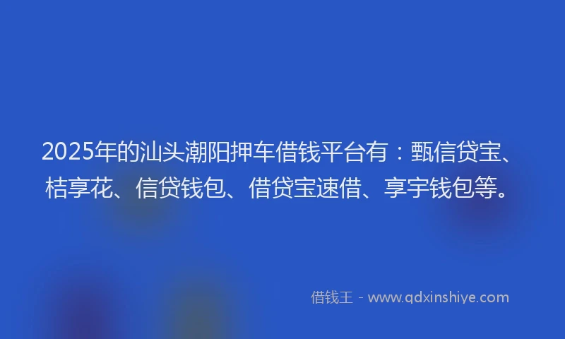 2025年的汕头潮阳押车借钱平台有：甄信贷宝、桔享花、信贷钱包、借贷宝速借、享宇钱包等。