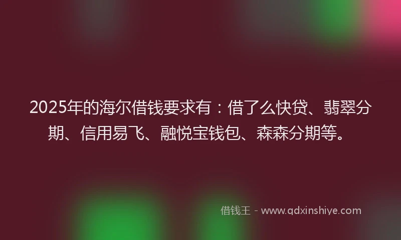 2025年的海尔借钱要求有：借了么快贷、翡翠分期、信用易飞、融悦宝钱包、森森分期等。