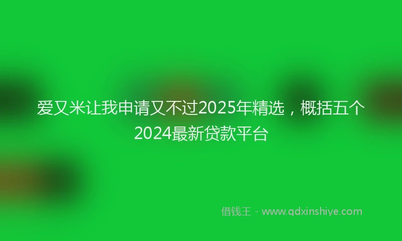 爱又米让我申请又不过2025年精选，概括五个2024最新贷款平台