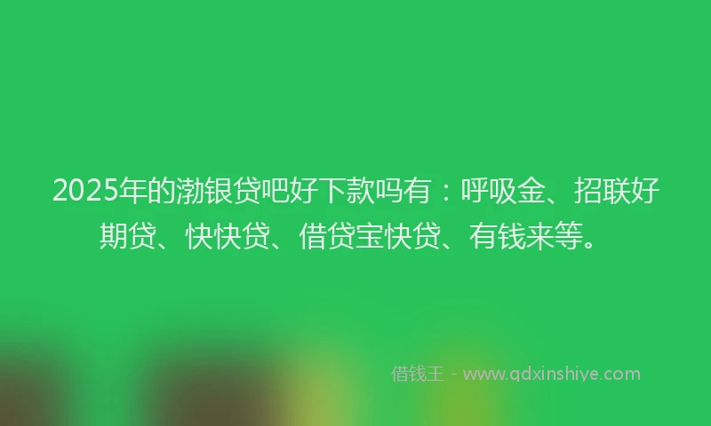 2025年的渤银贷吧好下款吗有：呼吸金、招联好期贷、快快贷、借贷宝快贷、有钱来等。