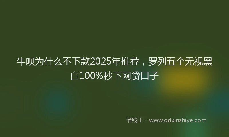牛呗为什么不下款2025年推荐，罗列五个无视黑白100%秒下网贷口子