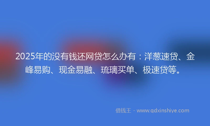2025年的没有钱还网贷怎么办有：洋葱速贷、金峰易购、现金易融、琉璃买单、极速贷等。