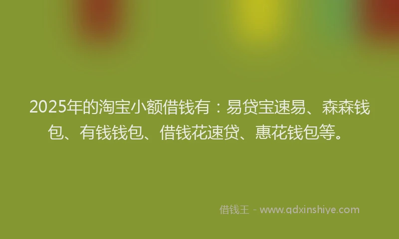 2025年的淘宝小额借钱有：易贷宝速易、森森钱包、有钱钱包、借钱花速贷、惠花钱包等。