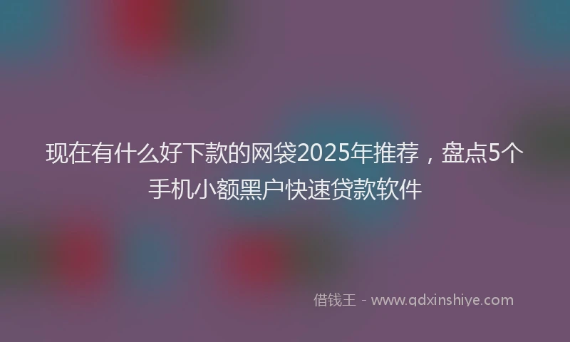 现在有什么好下款的网袋2025年推荐，盘点5个手机小额黑户快速贷款软件