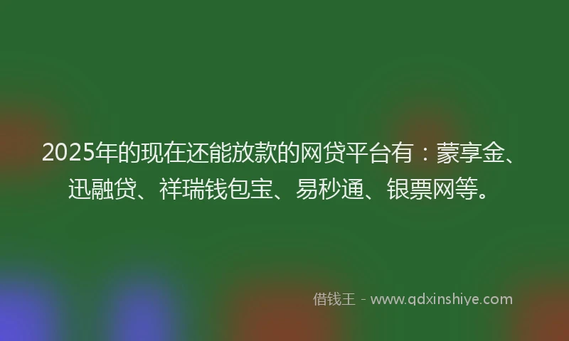 2025年的现在还能放款的网贷平台有：蒙享金、迅融贷、祥瑞钱包宝、易秒通、银票网等。