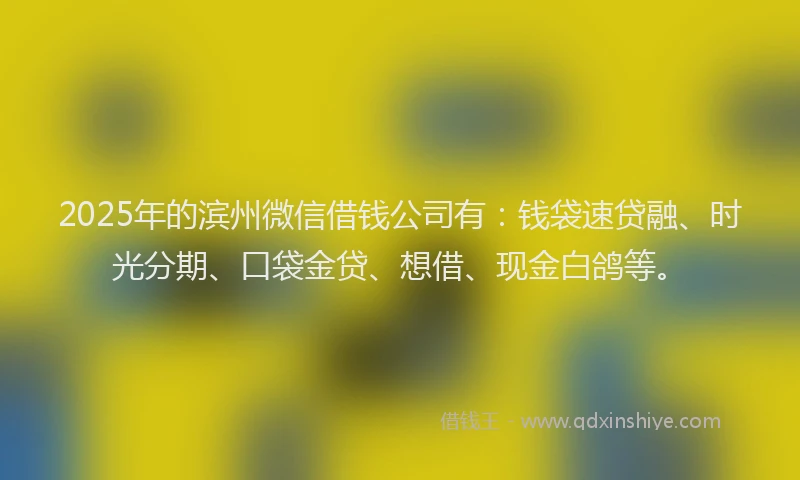 2025年的滨州微信借钱公司有：钱袋速贷融、时光分期、口袋金贷、想借、现金白鸽等。