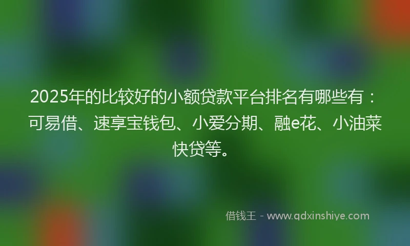 2025年的比较好的小额贷款平台排名有哪些有：可易借、速享宝钱包、小爱分期、融e花、小油菜快贷等。