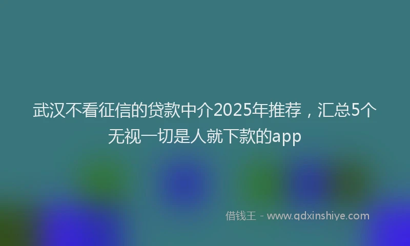 武汉不看征信的贷款中介2025年推荐，汇总5个无视一切是人就下款的app