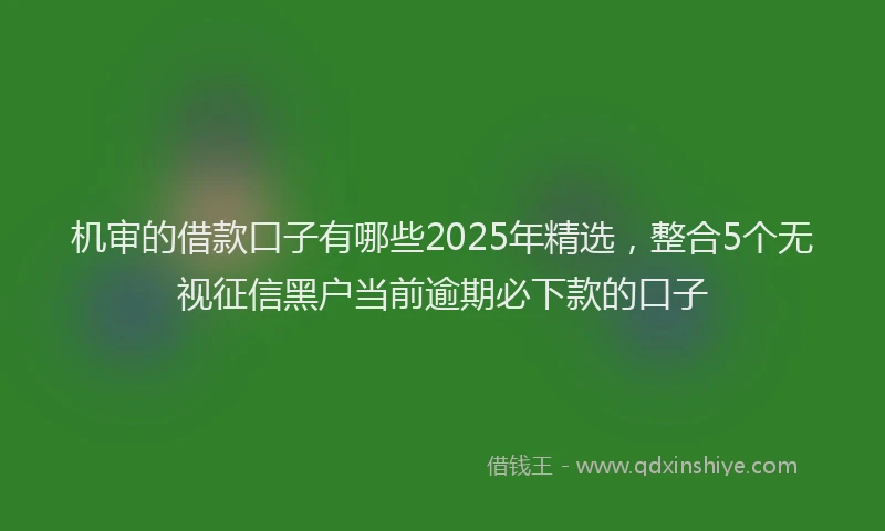 机审的借款口子有哪些2025年精选，整合5个无视征信黑户当前逾期必下款的口子