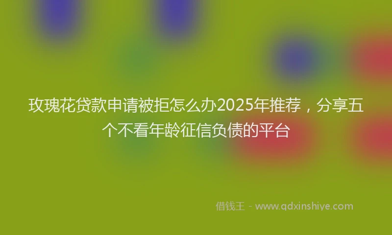 玫瑰花贷款申请被拒怎么办2025年推荐，分享五个不看年龄征信负债的平台