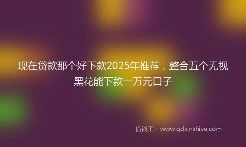 现在贷款那个好下款2025年推荐，整合五个无视黑花能下款一万元口子