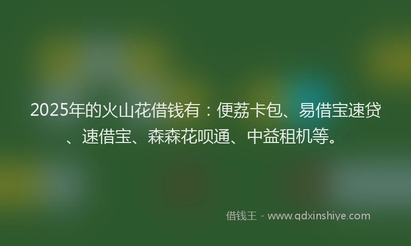 2025年的火山花借钱有：便荔卡包、易借宝速贷、速借宝、森森花呗通、中益租机等。