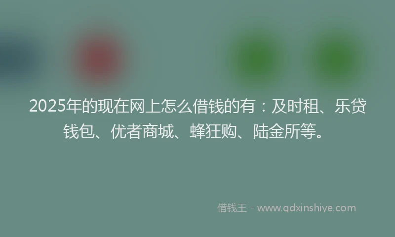2025年的现在网上怎么借钱的有：及时租、乐贷钱包、优者商城、蜂狂购、陆金所等。
