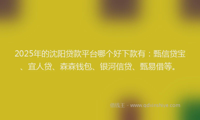 2025年的沈阳贷款平台哪个好下款有：甄信贷宝、宜人贷、森森钱包、银河信贷、甄易借等。
