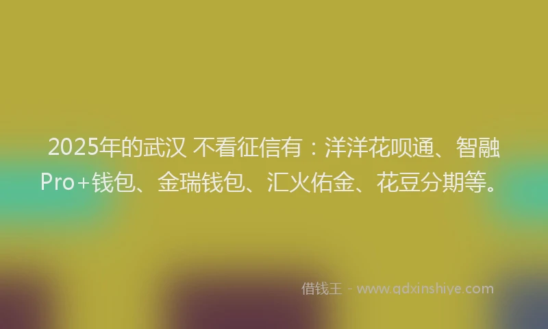 2025年的武汉 不看征信有：洋洋花呗通、智融Pro+钱包、金瑞钱包、汇火佑金、花豆分期等。
