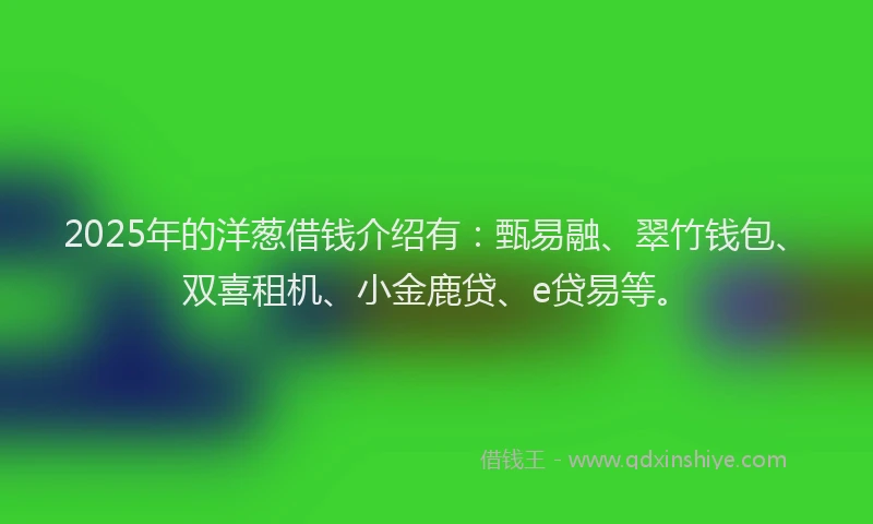 2025年的洋葱借钱介绍有：甄易融、翠竹钱包、双喜租机、小金鹿贷、e贷易等。