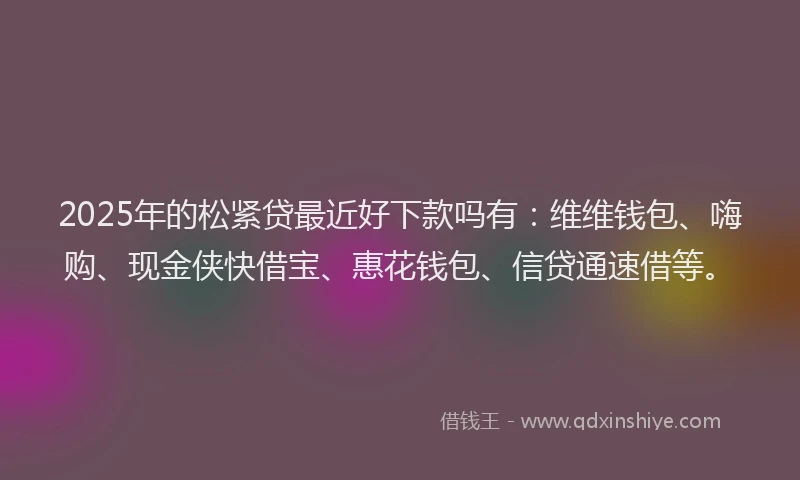 2025年的松紧贷最近好下款吗有：维维钱包、嗨购、现金侠快借宝、惠花钱包、信贷通速借等。