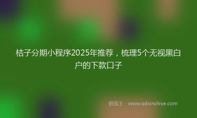 桔子分期小程序2025年推荐，梳理5个无视黑白户的下款口子