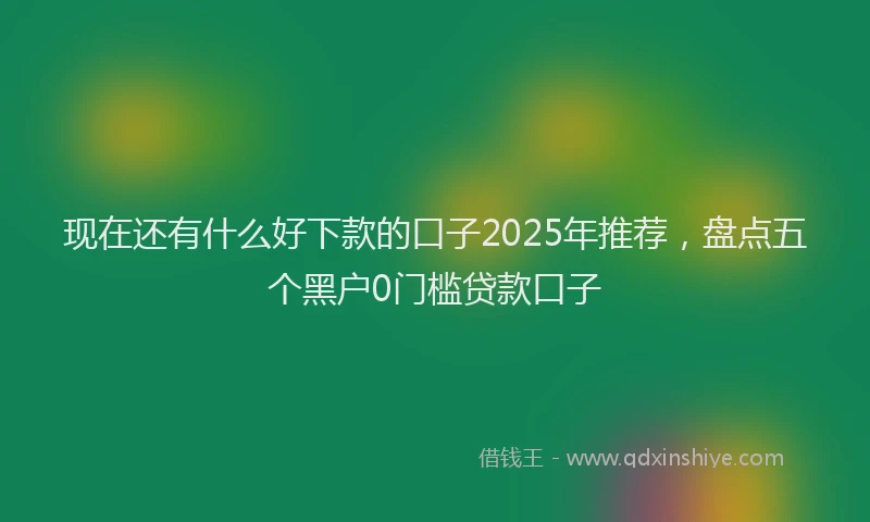 现在还有什么好下款的口子2025年推荐，盘点五个黑户0门槛贷款口子