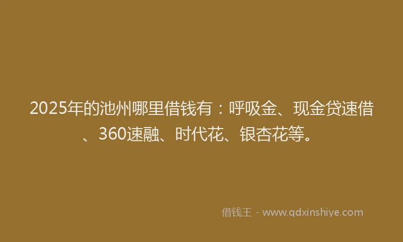 2025年的池州哪里借钱有：呼吸金、现金贷速借、360速融、时代花、银杏花等。
